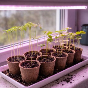 5 ��������� ���������� ����� � �������