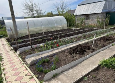 ��� ��������� ������� ������ � ����: �������� ������ ��� �����������