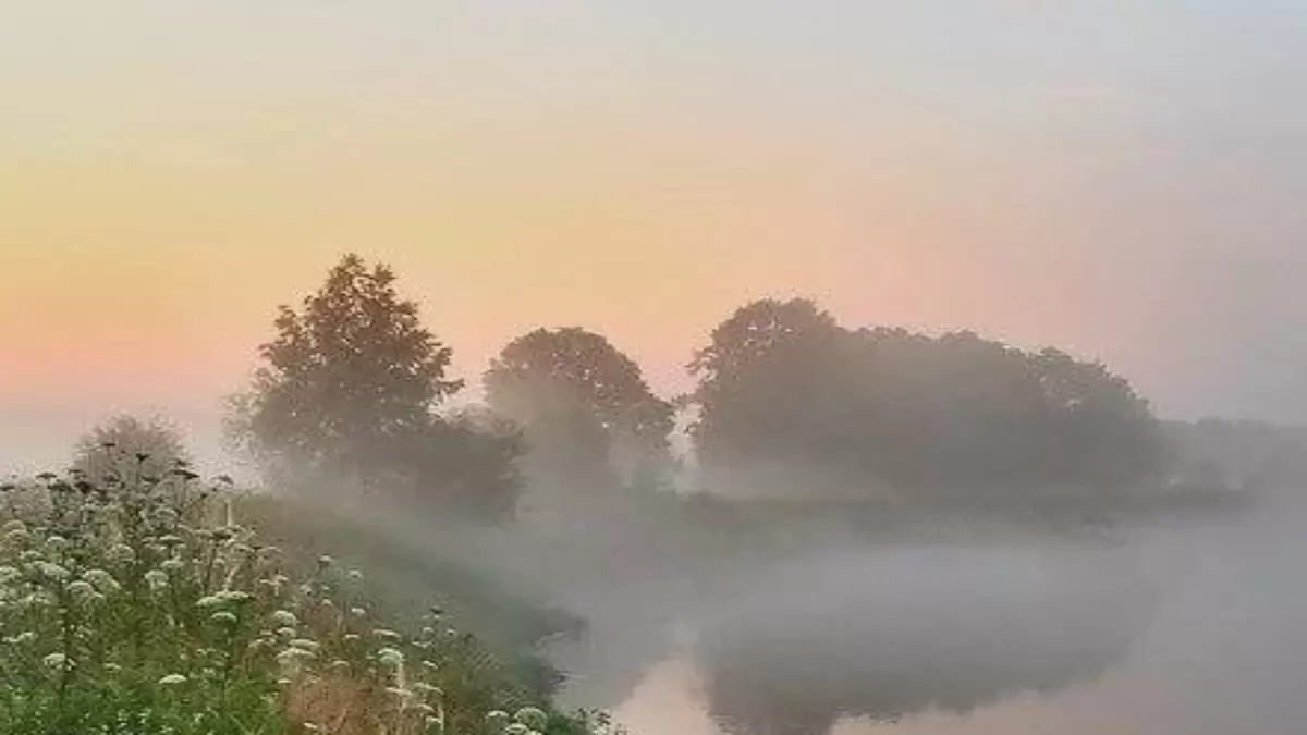 Июнь: радость пробуждающегося лета и народные приметы