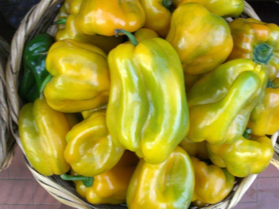 ��� ��������� ��������� �� ������: ������� ��� ��������� ������