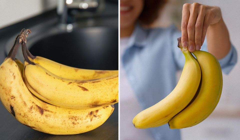 ��� ��������� �������� �������: ������� ����� ������������