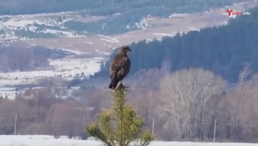 ��������, ��� ��������! �����, �� �� ����� ������������, ��� �� ������ ����� � �� ����� �������� ������