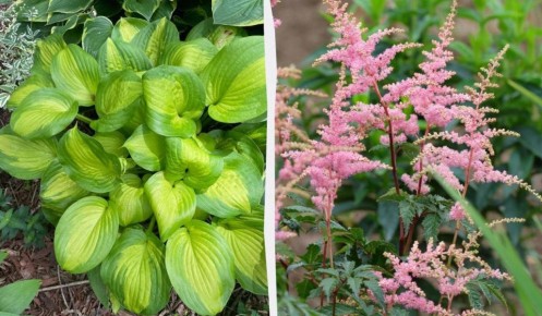 ����� �������� �������: ����� ����� ������� ����� ����� ���������� ��������