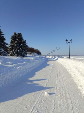 ������� �����������: ����, ��� � ������� ������ ����