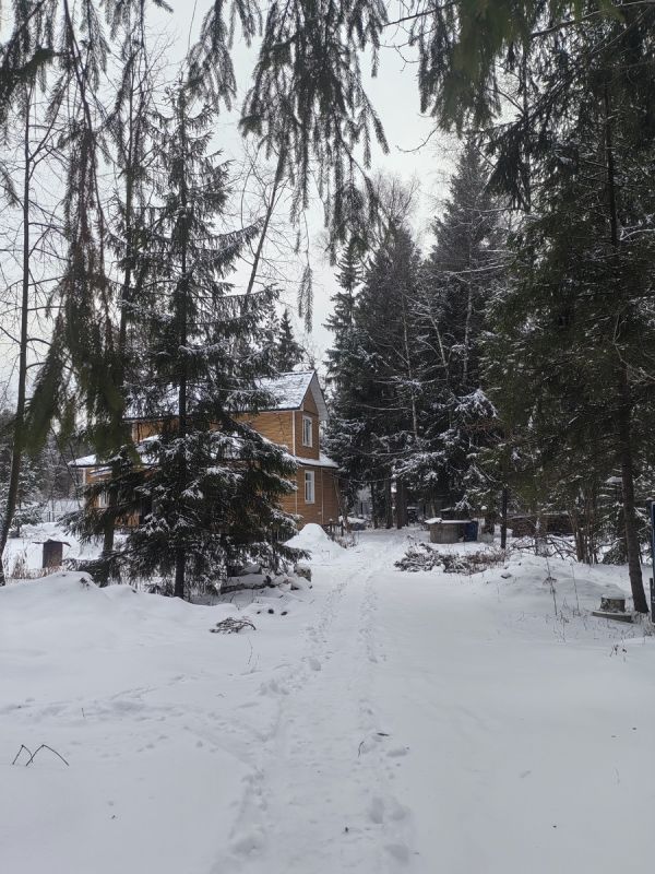 ������ ����: ������� ������ ��� �������� �����������?