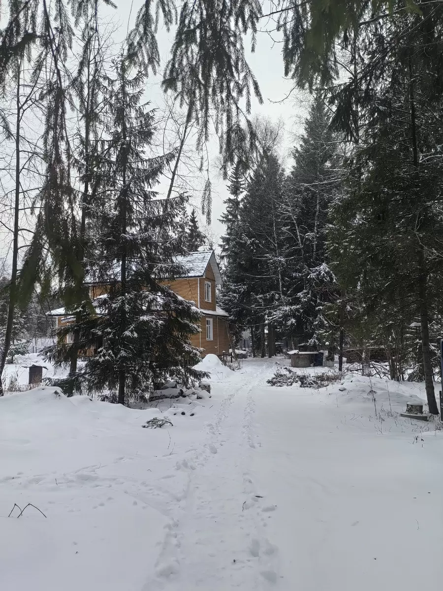 Зимняя дача: обычная рутина или источник вдохновения?