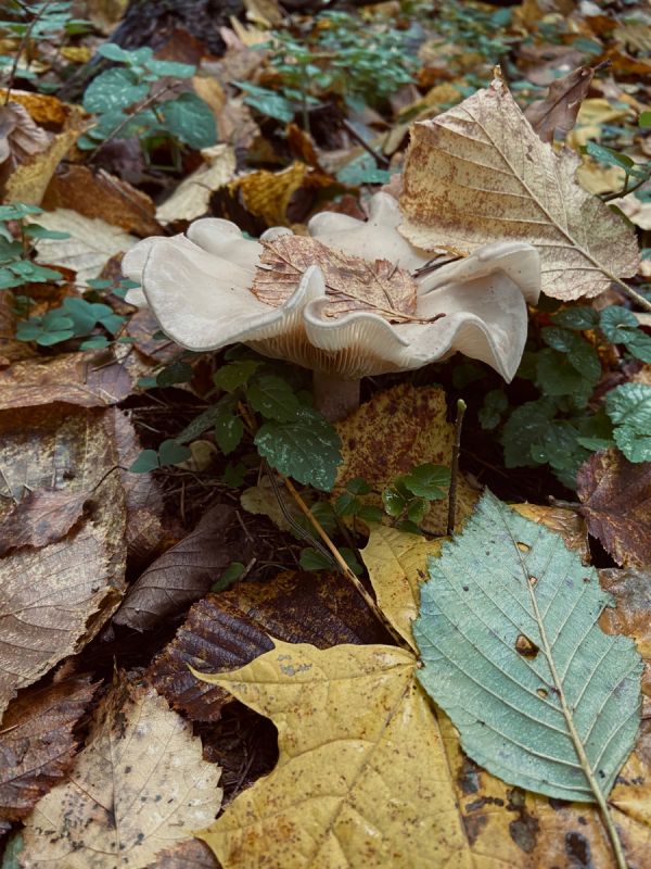 ���������� � ������� ���: ��� ����� ��������� ����� � ������