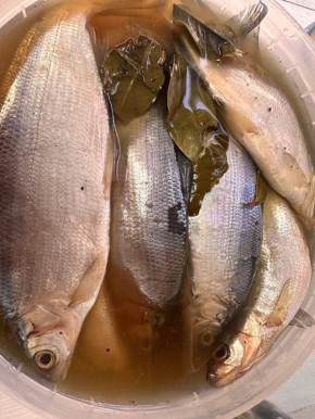 ������ ������� ������: ���� ���� � ������ �����