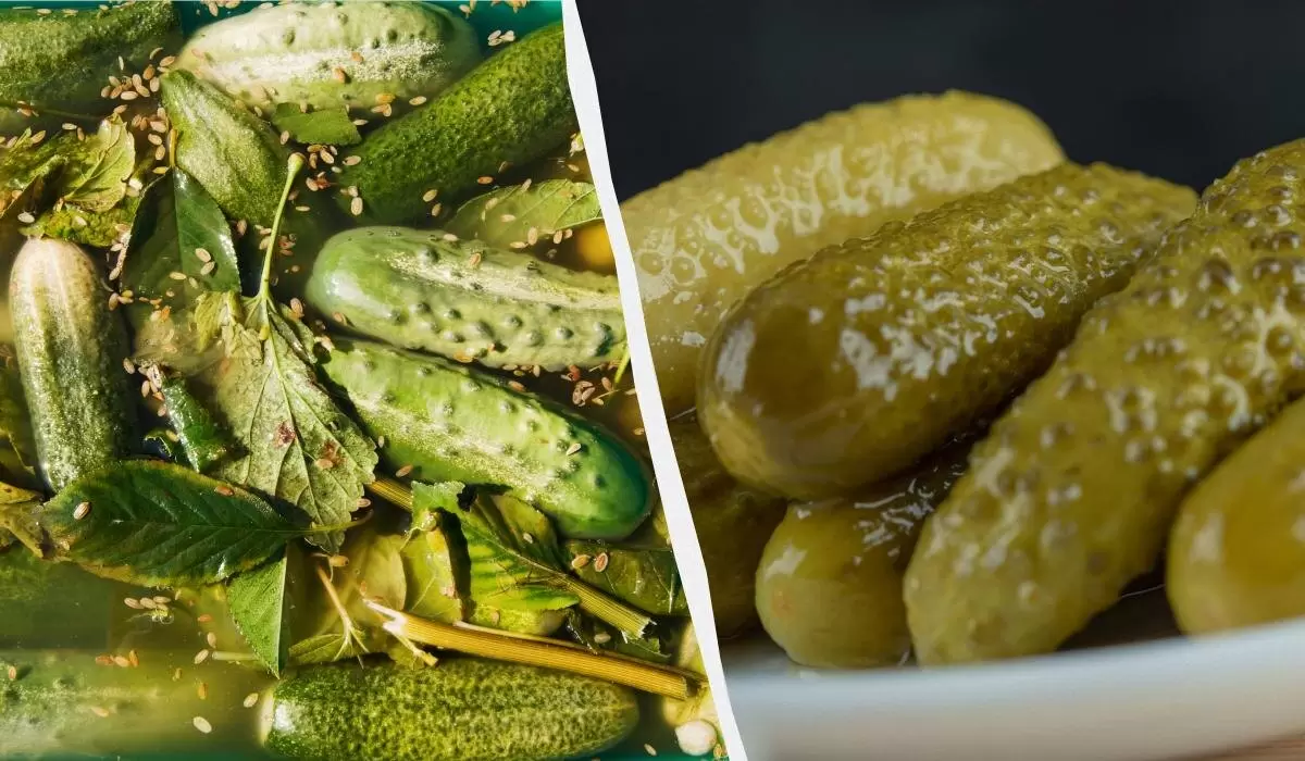 Хрустящие огурцы: как избежать ошибок при квашении