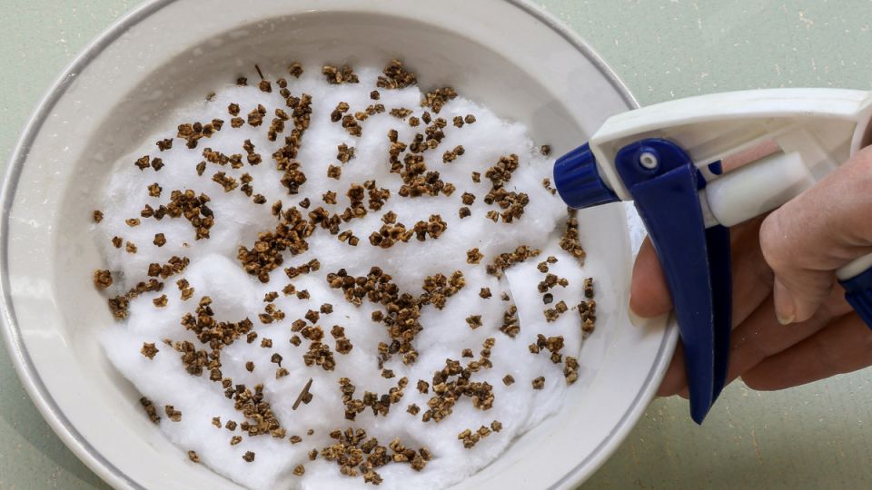 ������� ��������� ������: ����� ������ ���������� �� �����