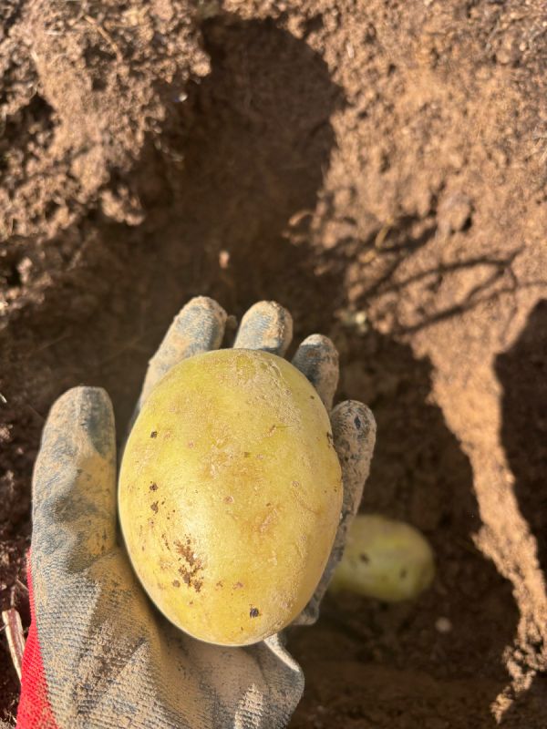 ��� ����� ��������� ��������: ������� ������ ��� ������� ��������