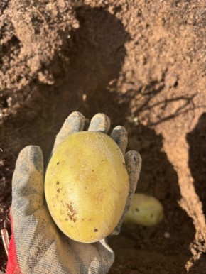 ��� ����� ��������� ��������: ������� ������ ��� ������� ��������