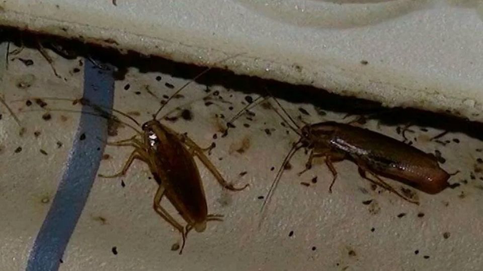 �������� �������: ��� �������� ���������� �� ���������� ������