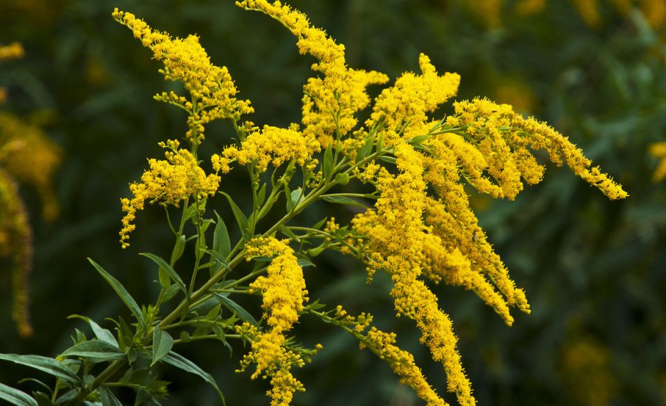 ����������: ��� ���������� � ����������� ������ � ����� ����