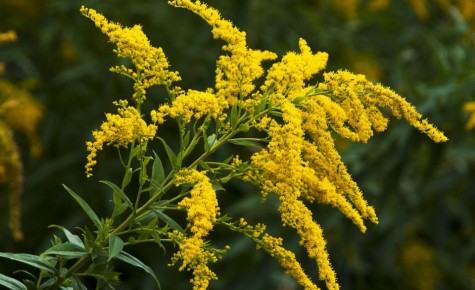 ����������: ��� ���������� � ����������� ������ � ����� ����