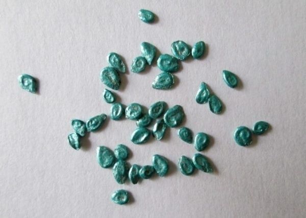 ������� �������� ������� �������: ��� ��������� ����������� ������