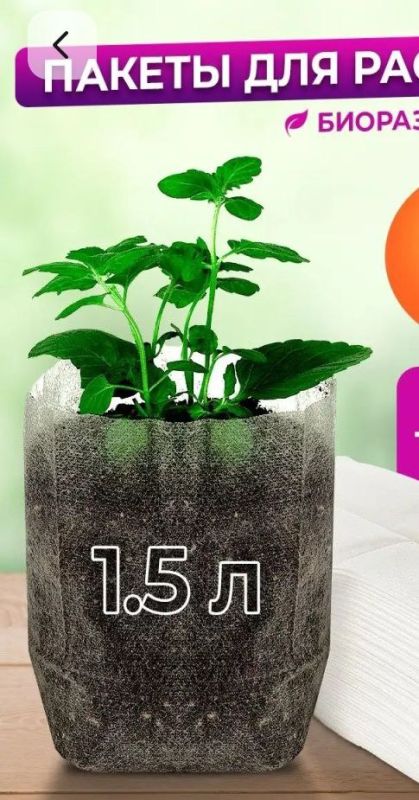 ���������� ������� ��� ���������: ��������� �������� � �������� ��������