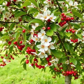 ��� ��������� �����, ������� ������ ��������� ���������� ����