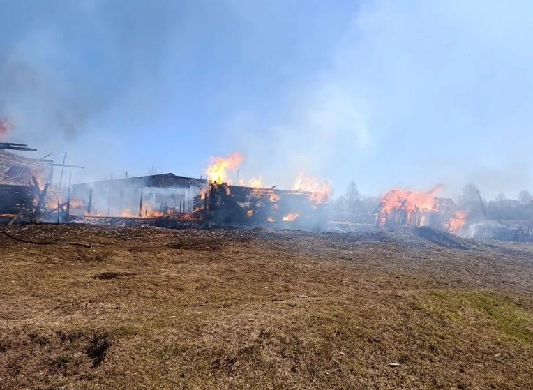 ���� 15 ������ � ������� ���� �������� ������ ��������� ������� �����, ������������ ������� ���������, �������� ��������������� ��������������� ������ �������