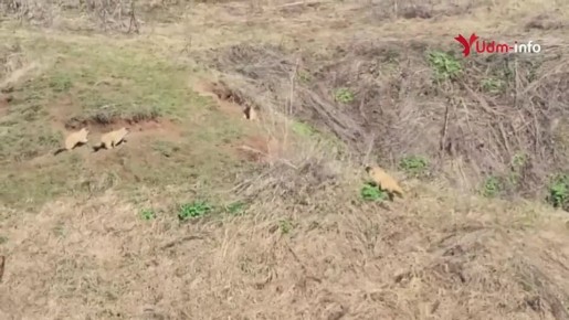 ������� � ������� �� ������