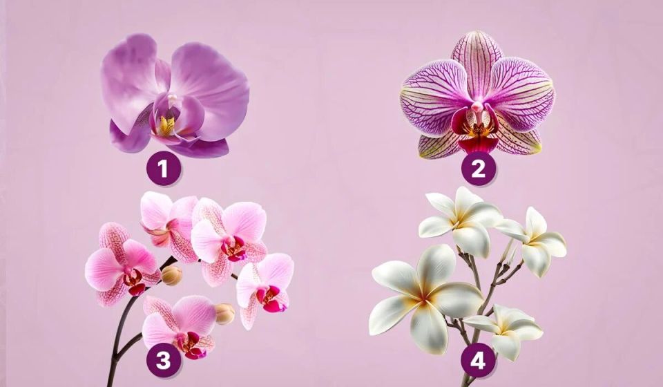 ��� ������� ������� � �������� ����� ����� ����