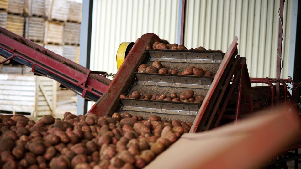 ������� ���������� ������ ����������� ���� �� ��������� ��� ������������ �����