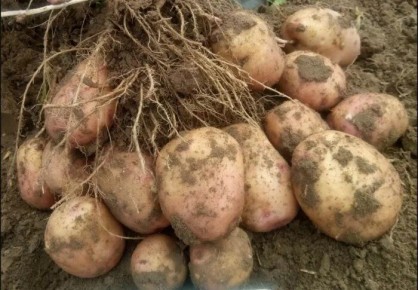 ��������� '������� �������': ��������� ����� ��� ������� ����