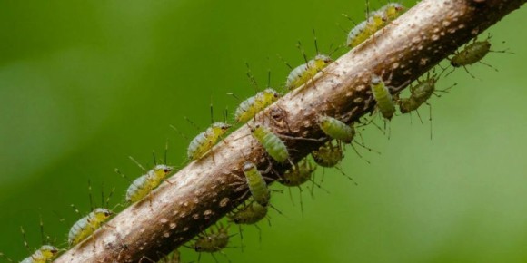 �������� ������� ������: ��� ���������� �� ��� ������ � ��������