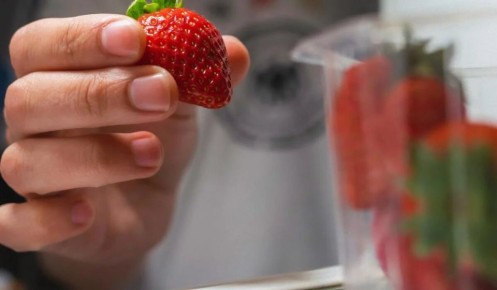 ������� ������� �������� ��������: ��� ��������� �������� �� ��� ������