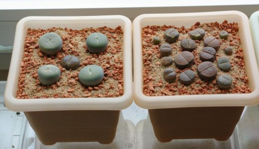 �������: ��������� ����������� �������� ������