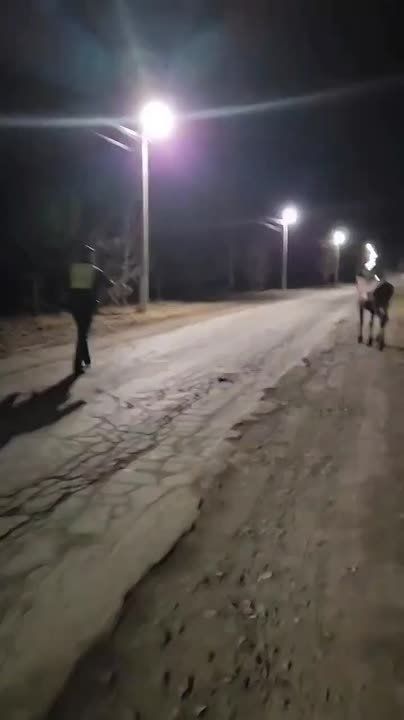 ����������: �������������� � ������� ������� ������� � ���