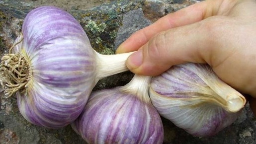 �������� ������� ��������� �������: ��� ��������� ������ �����