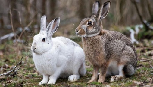 � ������ 2026 ���� � �������� ������� ����� ������� �������� ��������