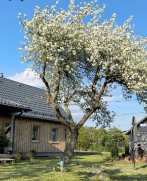 ������ � ������������� ����: ���� ����� ��������� �� ����� �����