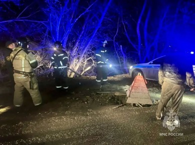 �������� � ���� ������� ������ � �������