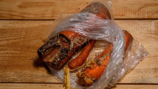 ��� ������ ������� �� �����: ������� �������� �� �������� ��������