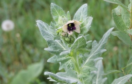 ��������� ������ ������: ��� ���������� � �� ���������