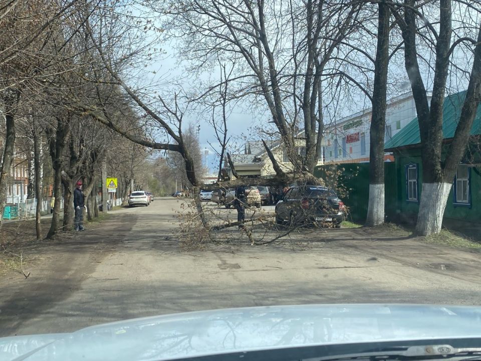 Читатели из Сарапула пишут, что около стадиона на улице Горького дерево упало на машину