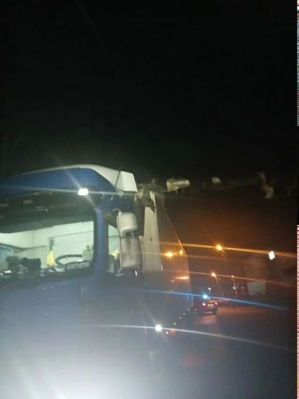 ����: ���� ������������