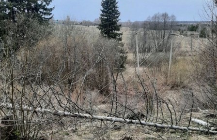 ���������� ������������� ����������� ����������� ������� �� ���������� ������ � �������� �� 24 �/�, ������� ���� �������� ��������� ����������� ���������������� � ������ ������� � ������ �����