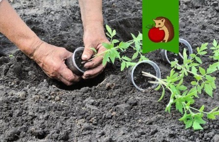 ���������� �������: ��� �������� �������� ������� � ������� � �������� �����?