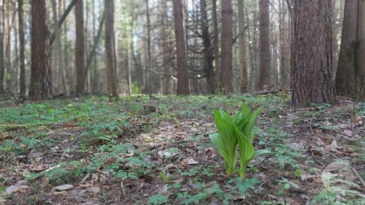 � ������ ������ ���� ��� �� ���������� �������� �������������� ����������� ������� ���� ������������� �����