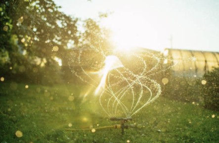 ��� ��������� �������� �������� � ����: �������� ������ ��� ���������