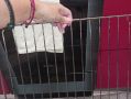 ��� ������� ����� �������� �������: 4 ������� ������ ��� �����