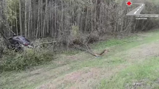 � ������������ ������ � ��� ������� 15������ �������