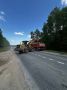 На дорогах в Удмуртии за двое суток сбили трех лосей
