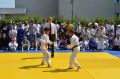 12 ���� � ������� �������� ������� ��������� ����������� ������� �� ������