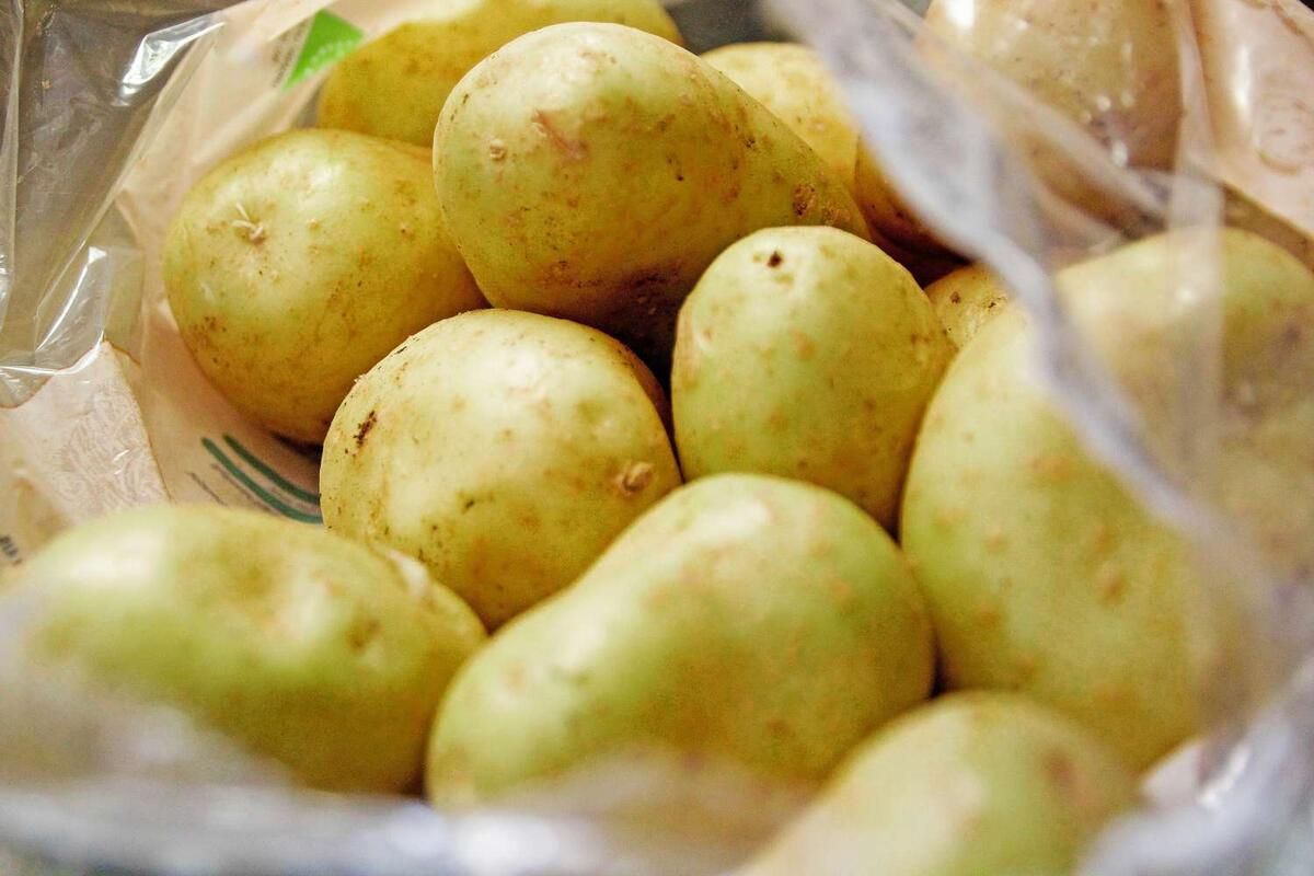 Почему картошка зеленеет и как избежать опасности