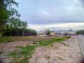 В правительстве Удмуртии заметили недовольство ижевчан по поводу вырубки деревьев