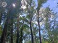 В Удмуртии 8 июля столбик термометра покажет +23…+28 градусов по Цельсию.
